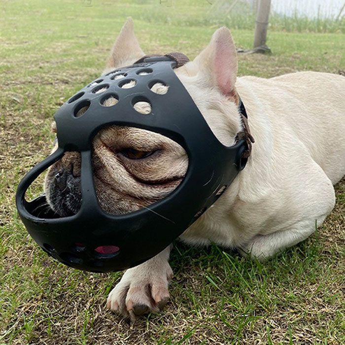BACKYARD FAMILY「口輪 犬 通販 犬用 いぬ イヌ 短頭種 プラスチック 短い鼻 マズル 犬用マズル口輪 口を開ける」|その他|
