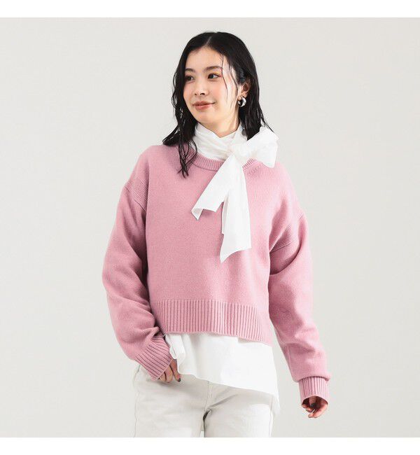 Demi-Luxe BEAMS 「7ゲージ ウール クルーネック プルオーバー」|ニット・セーター|