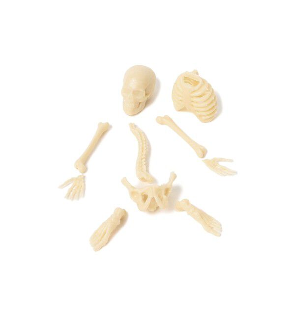 BEAMS「Archie McPhee / ITTY BITTY」|その他|BONES