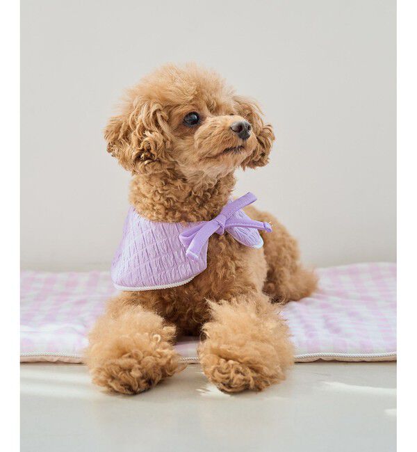 ROPE PICNIC PASSAGE「【DOG】ひんやりスタイ」|その他|