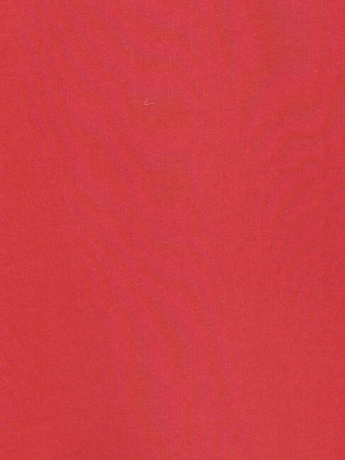 SM2「【KODAK】ロゴプリントスウェット」|Tシャツ・カットソー|