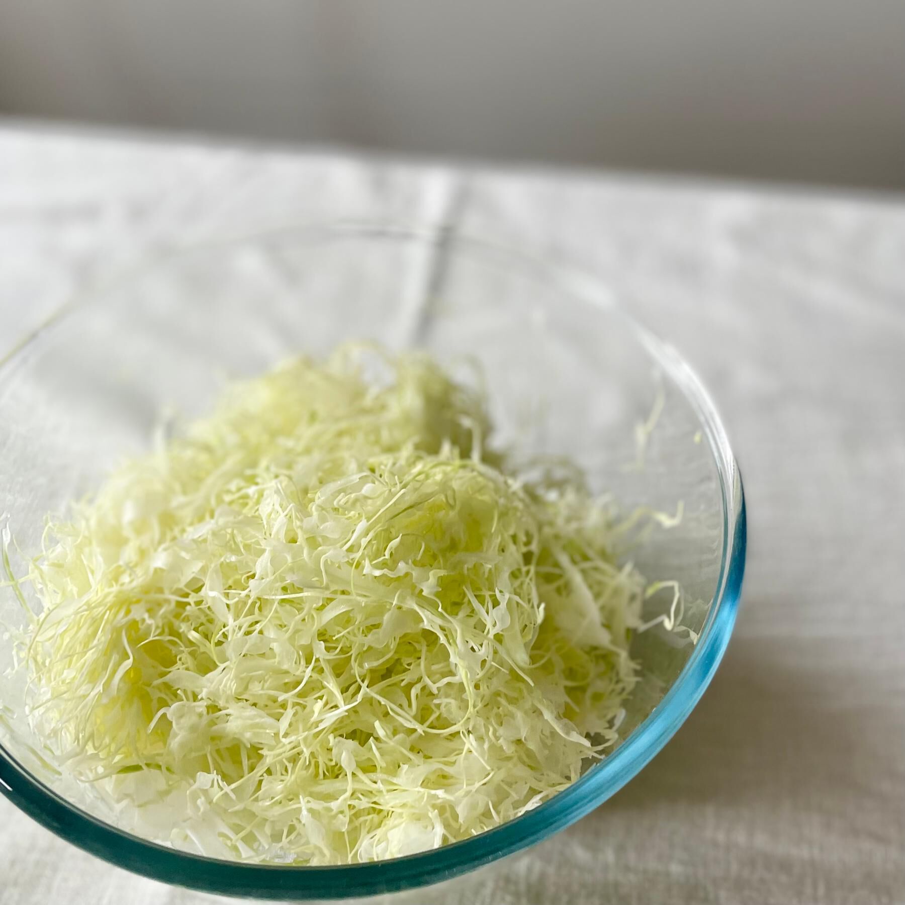 212 KITCHEN STORE「包丁職人が作ったキャベツスライサー ＜SUNCRAFT サンクラフト＞」|食器・キッチングッズ|