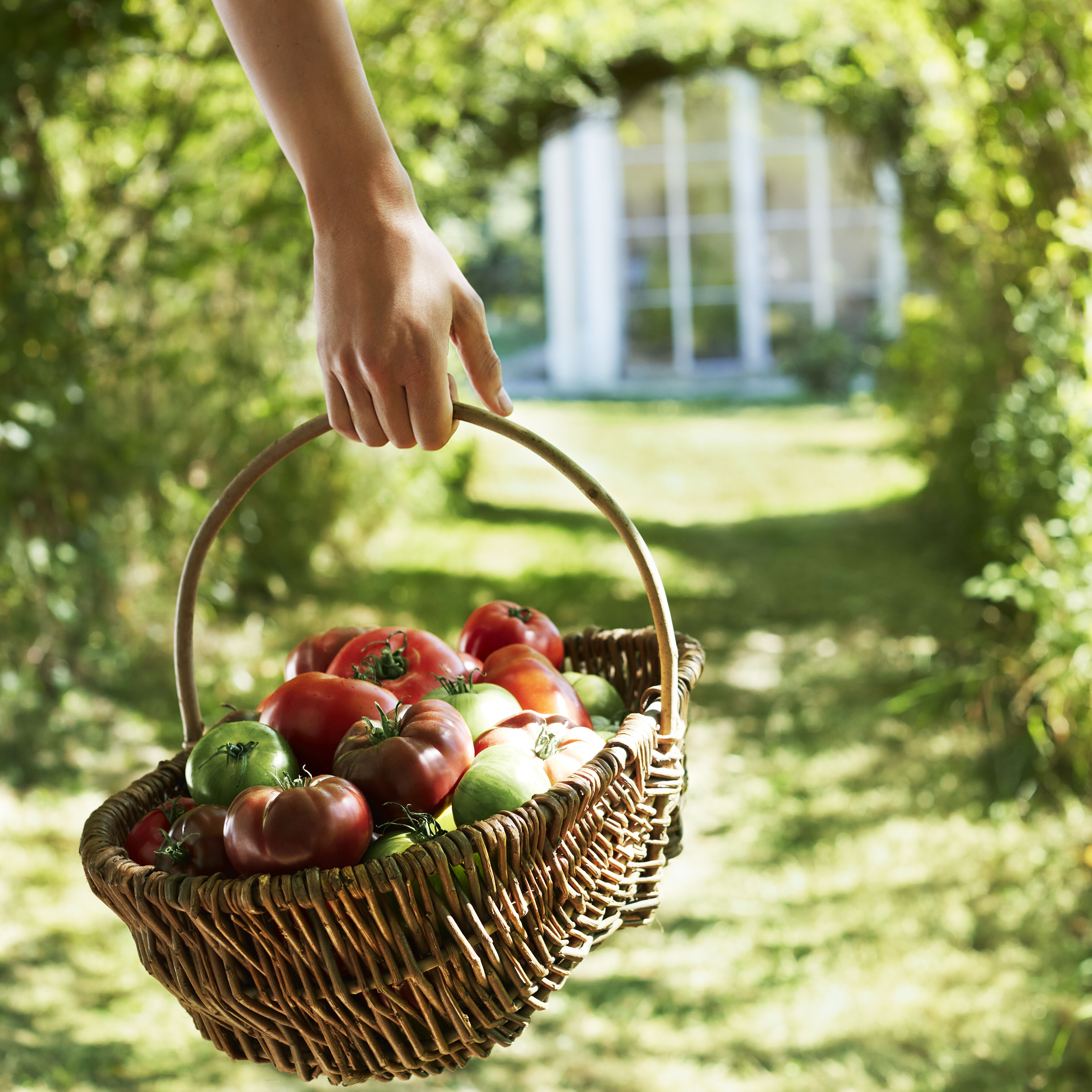 Maison Margiela&rsquo;REPLICA&rsquo;Fragrances「レプリカ　オードトワレ　フロム　ザ　ガーデン 100ml　大地と青々しいトマトリーフの香り」|香水・フレグランス|