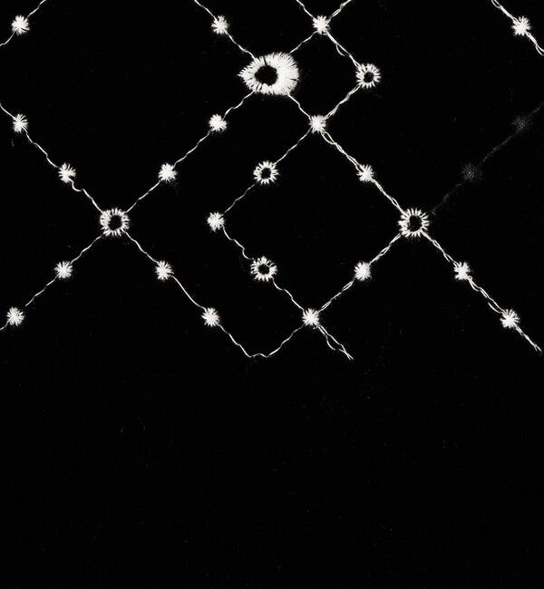 DES PRES「ダイアモンドゲージエンブロイダリー マキシスカート」|タイト|