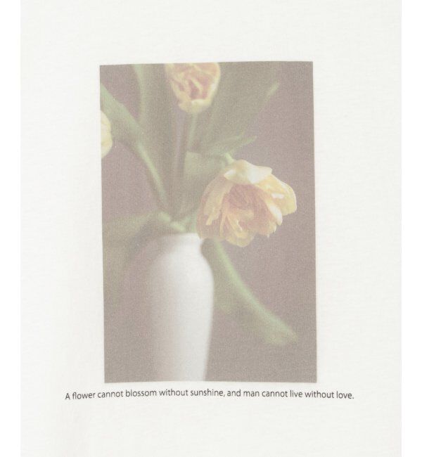 VENCE share style「綿天竺フラワープリントTシャツ」|Tシャツ・カットソー|