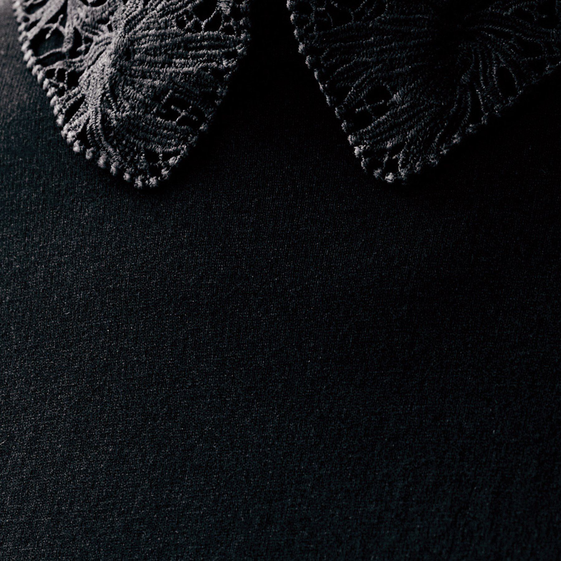 UNTITLED「【洗える/カジュアルフォーマル】2WAYレース襟ニットプルオーバー」|ニット・セーター|