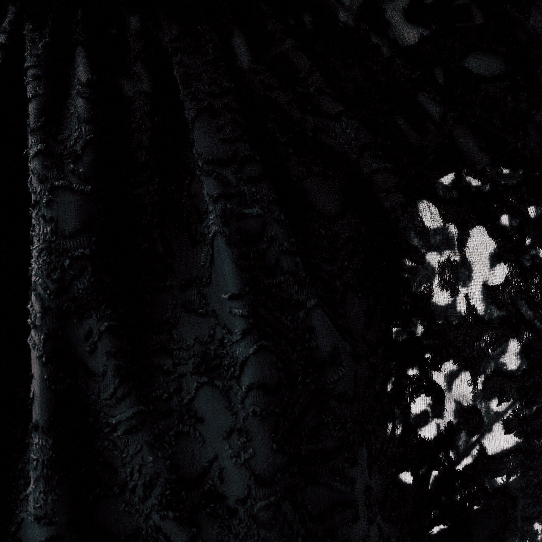 UNTITLED「【セレモニー/洗える/シアー】カットジャカード ボウタイブラウス」|シャツ・ブラウス|