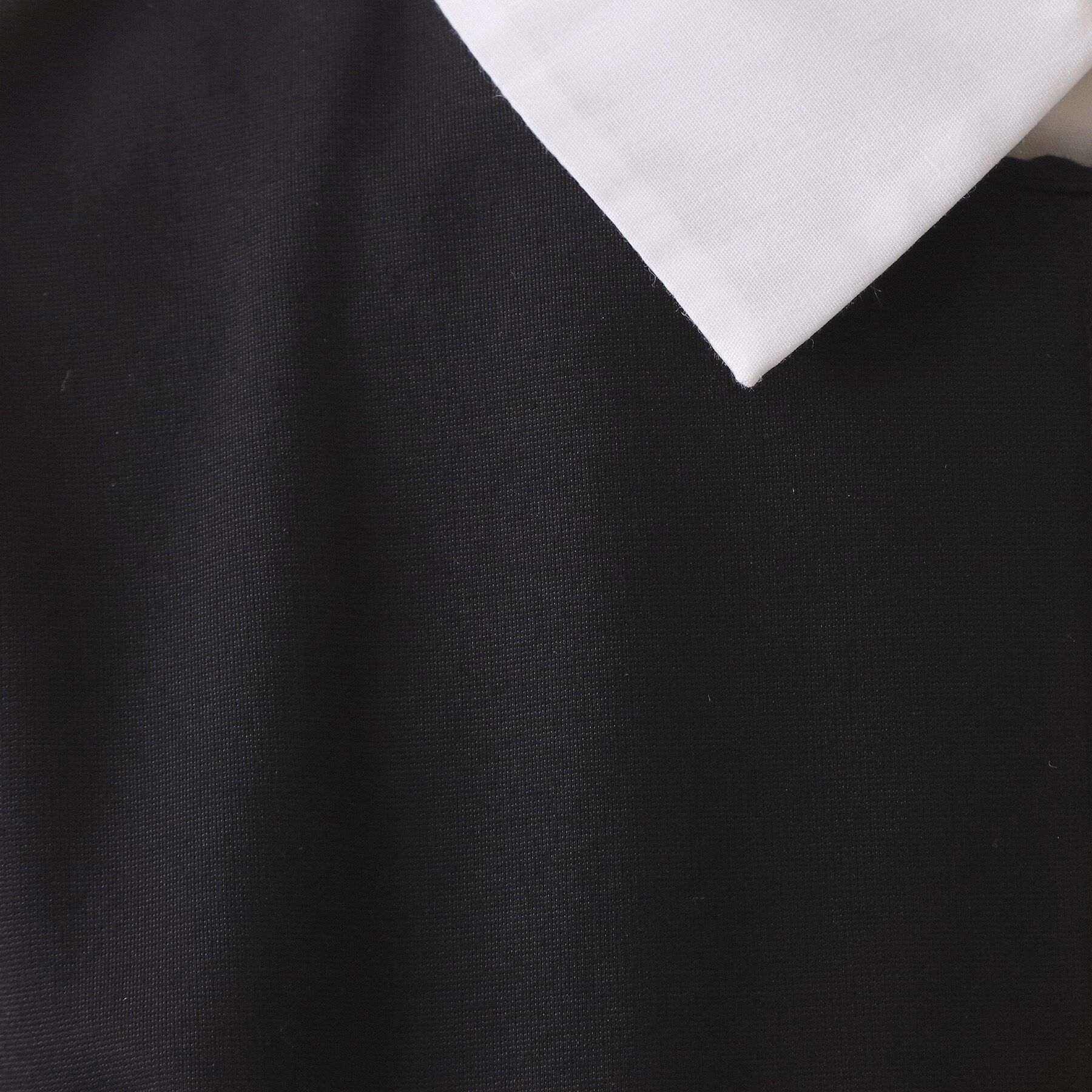 OPAQUE.CLIP「襟付きドルマントップス【洗濯機OK】」|Tシャツ・カットソー|