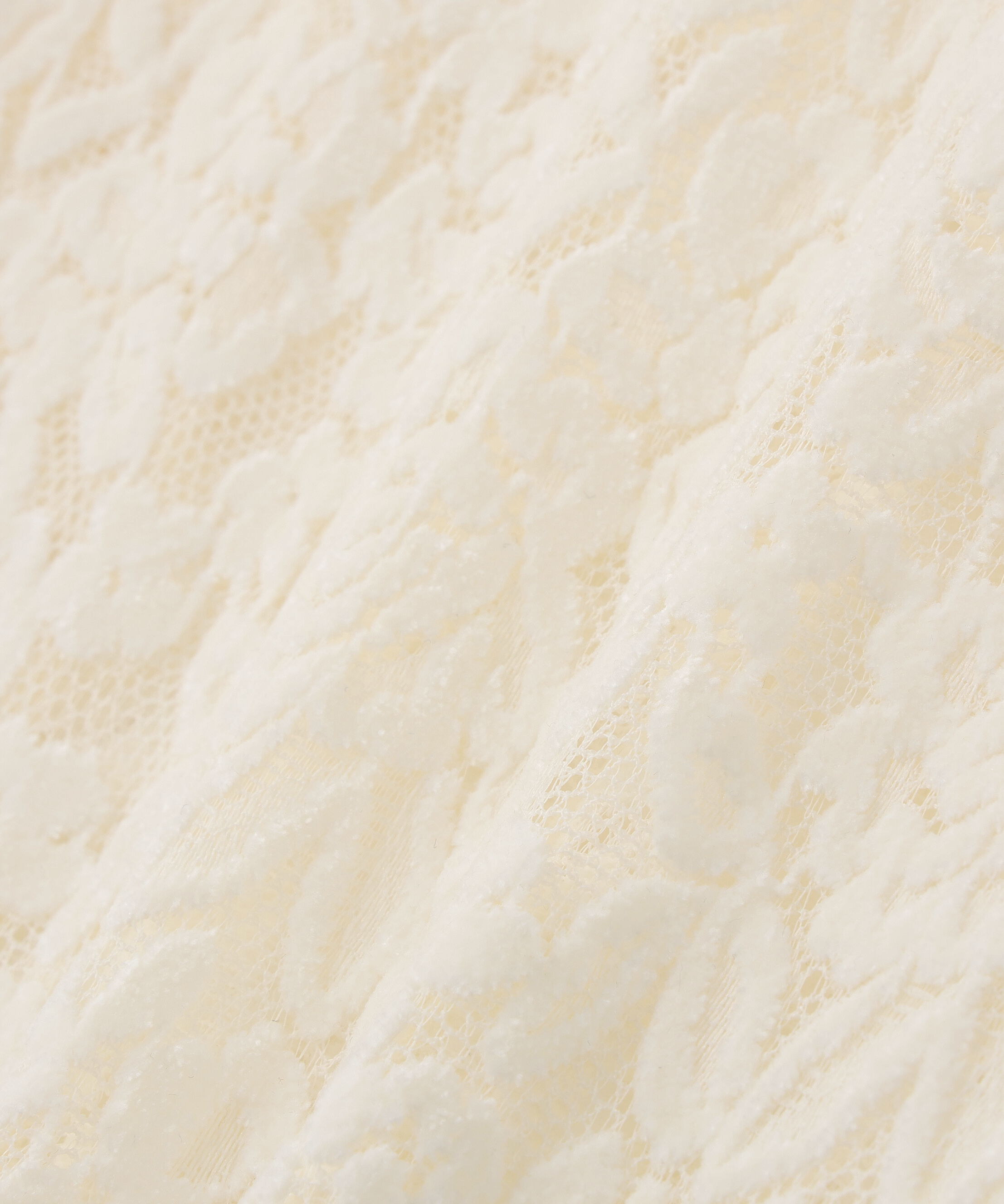  「モールレーストップス」|Tシャツ・カットソー|