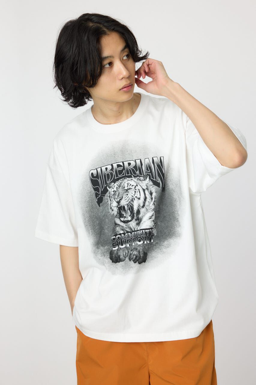RODEO CROWNS「フェードタイガーTシャツ」|Tシャツ・カットソー|