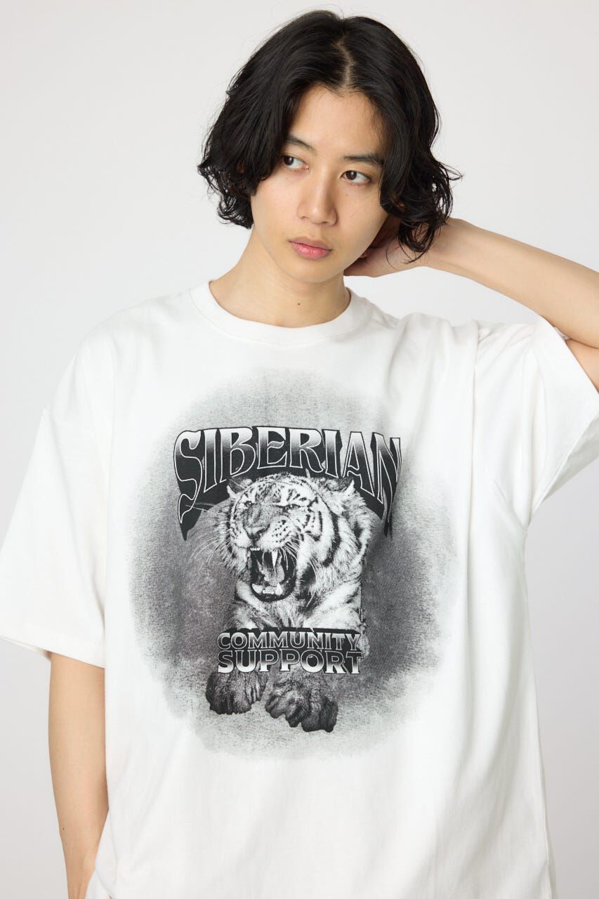 RODEO CROWNS「フェードタイガーTシャツ」|Tシャツ・カットソー|