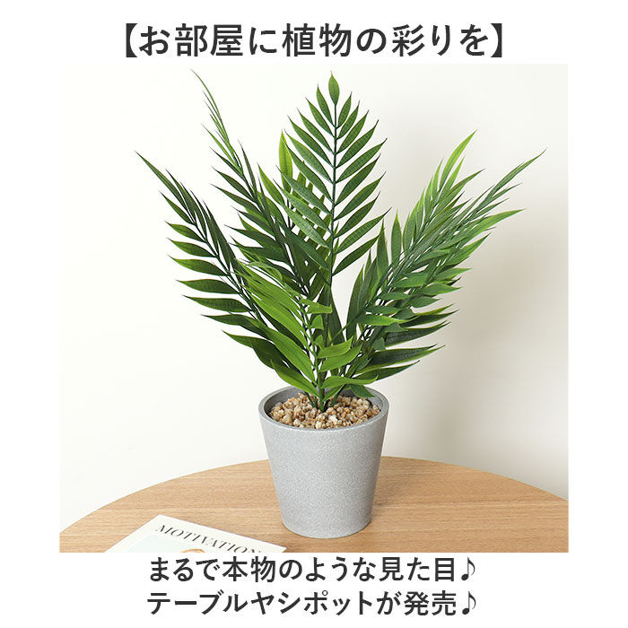 BACKYARD FAMILY「観葉植物 フェイク 大型 通販 フェイクグリーン ヤシ アーティフィシャルグリーン」|その他|