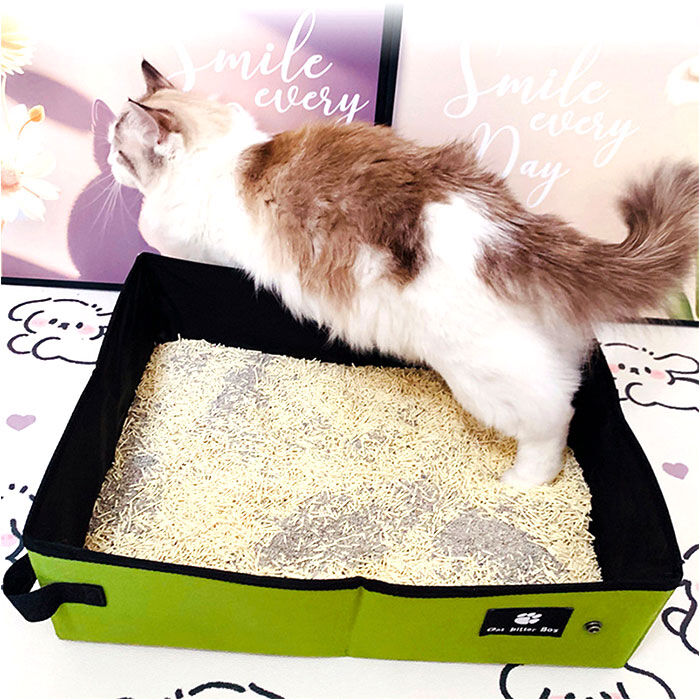 BACKYARD FAMILY「猫 トイレ 折り畳み 通販 折りたたみ ポータブル セカンドトイレ ペットトイレ 猫トイレ」|その他|