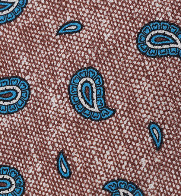 SHIPS「Errico Formicola: プリント メランジ ペイズリー ネクタイ」|ネクタイ・蝶ネクタイ|