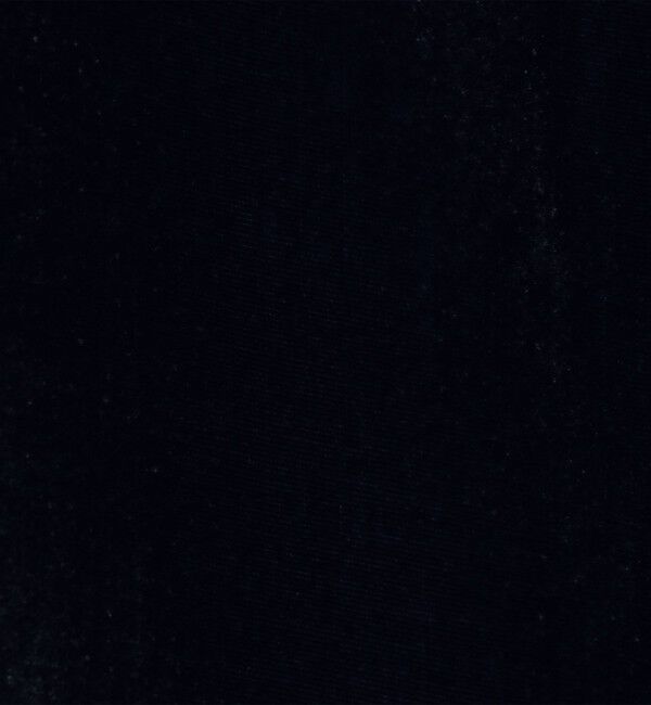 BACCA「レーヨンシルクベルベット ジップアップブルゾン」|ブルゾン・スタジャン|