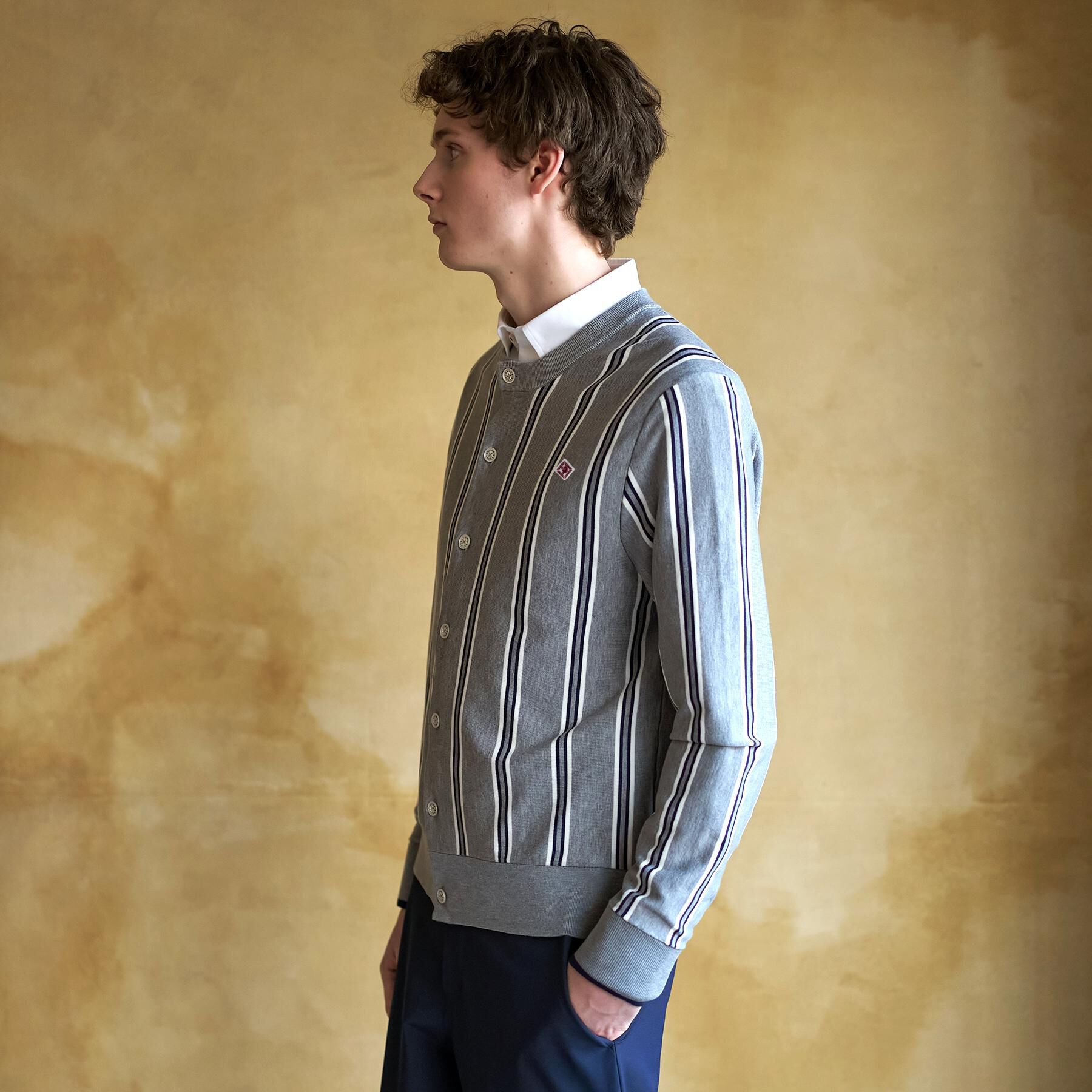 DRESSTERIOR「【ウォッシャブル】ウールレーヨン ストライプラウンドネックカーディガン」|カーディガン|