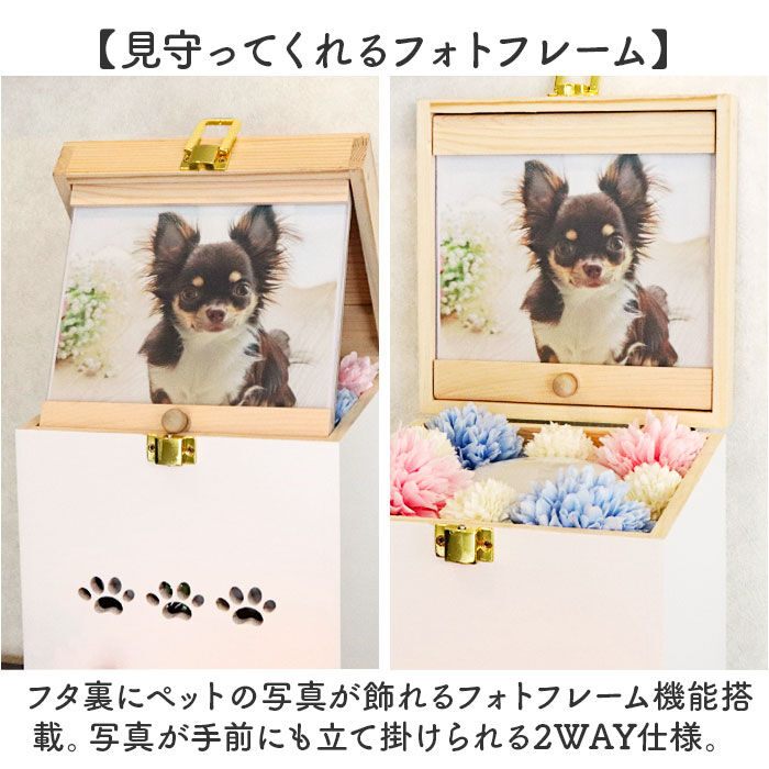 BACKYARD FAMILY「ペット 仏壇 セット 通販 日本製 国産 ペット用仏壇 ペット仏壇 メモリアルボックス 仏具 祭壇」|その他|