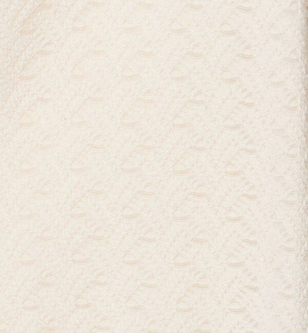 BEAUTY&YOUTH UNITED ARROWS「レース ショートスリーブ フーディ」|Tシャツ・カットソー|