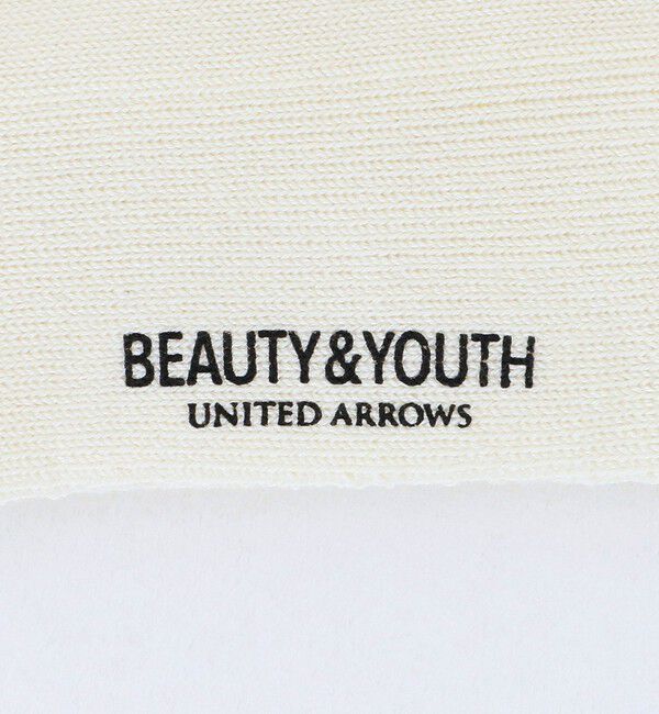 BEAUTY&YOUTH UNITED ARROWS「2ライン パイル クルー ソックス」|ソックス|