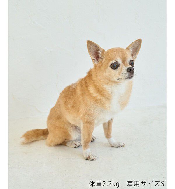 ROPE PICNIC PASSAGE「【Chocomoo&times;ROPE' PICNIC】【DOG】【接触冷感】ロゴTシャツ」|その他|