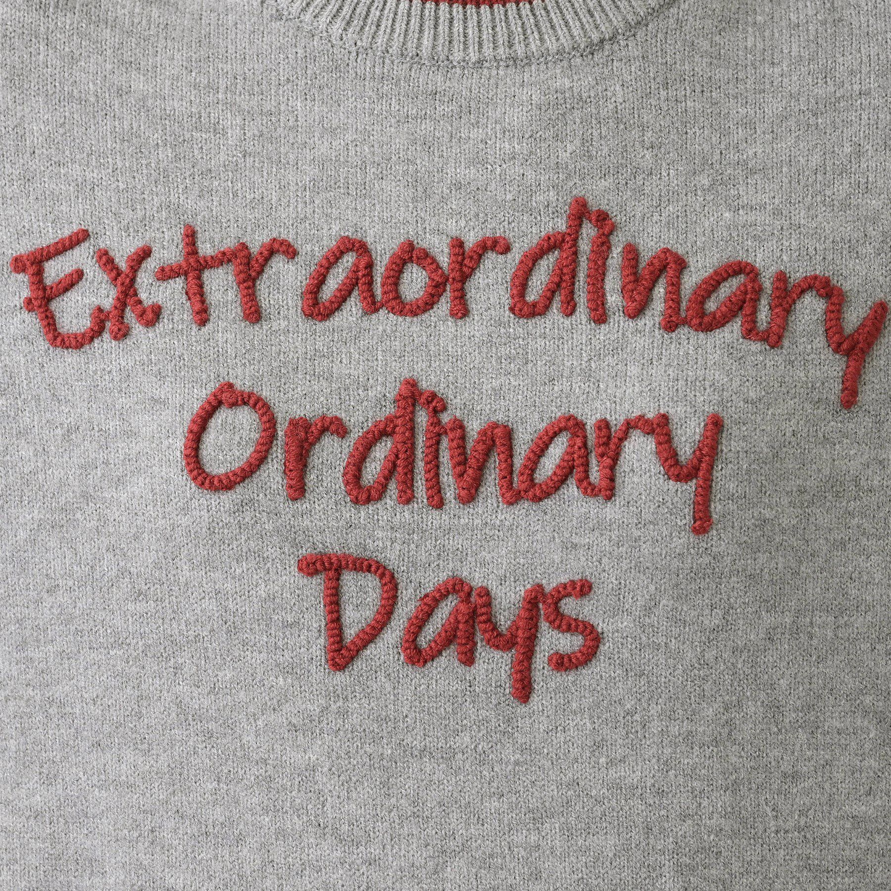 Dessin「【洗える】ペイント風刺繍入り配色ラインニット」|ニット・セーター|