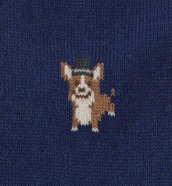 MACKINTOSH PHILOSOPHY「コーギー カジュアルソックス」|ソックス|