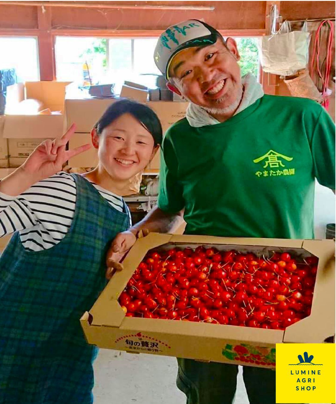 LUMINE AGRI SHOP「【L-FARMERS】高橋会長の自信作さくらんぼ！佐藤錦2P」|果物・野菜|