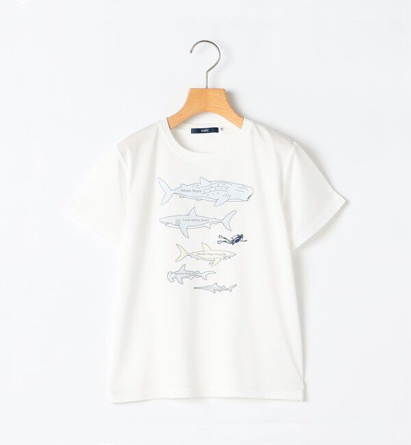 SHIPS KIDS「SHIPS KIDS:80～90m /〈接触冷感/吸水速乾〉シャーク フリーク TEE」|Tシャツ・カットソー|オフホワイト