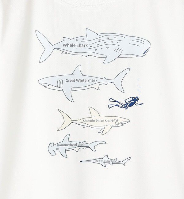 SHIPS KIDS「SHIPS KIDS:80～90m /〈接触冷感/吸水速乾〉シャーク フリーク TEE」|Tシャツ・カットソー|