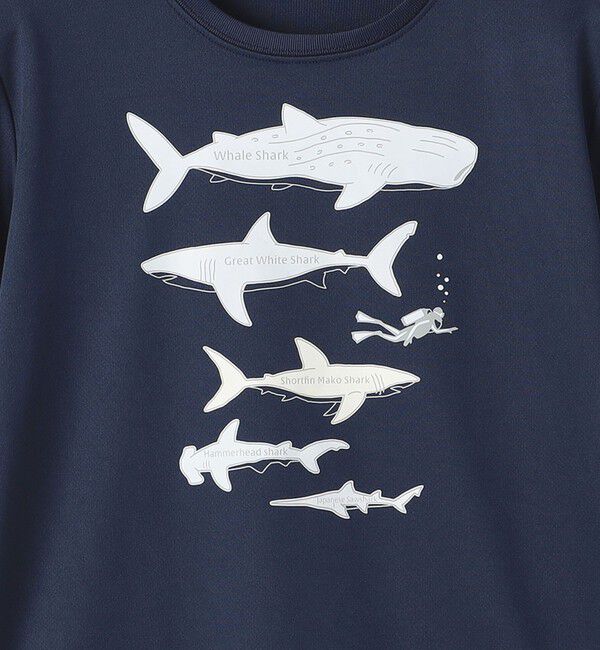 SHIPS KIDS「SHIPS KIDS:80～90m /〈接触冷感/吸水速乾〉シャーク フリーク TEE」|Tシャツ・カットソー|