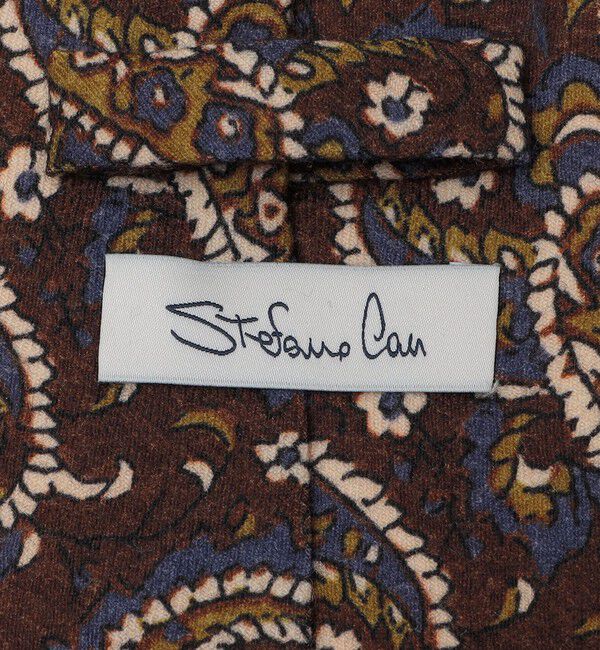 SHIPS「【SHIPS別注】Stefano Cau: ウール プリント フラワー ペイズリー ネクタイ」|ネクタイ・蝶ネクタイ|