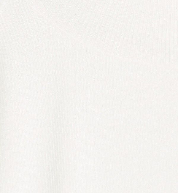 GALERIE VIE「レーヨンカシミヤジャージー ハイネックプルオーバー」|Tシャツ・カットソー|