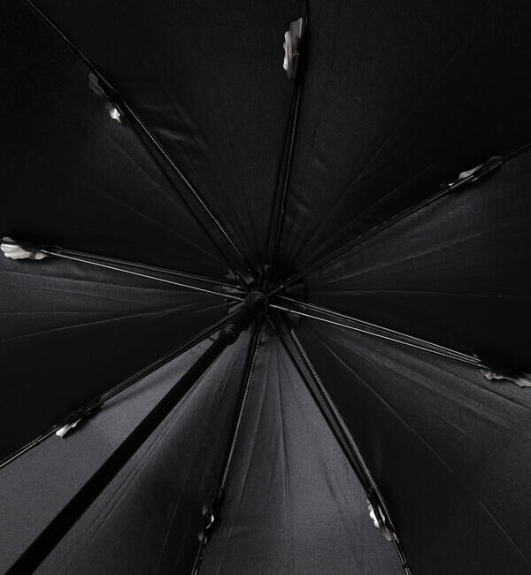 BEAMS「Euro SCHIRM / スイング ライトフレックス アンブレラ」|傘|