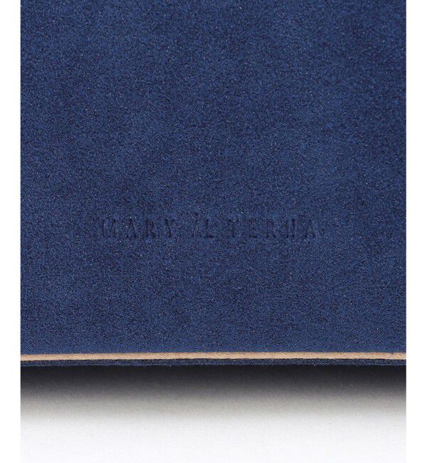 BEIGE,「【一部店舗限定】MARY AL TERNA / MAZE ミニハンドバック」|ハンドバッグ|