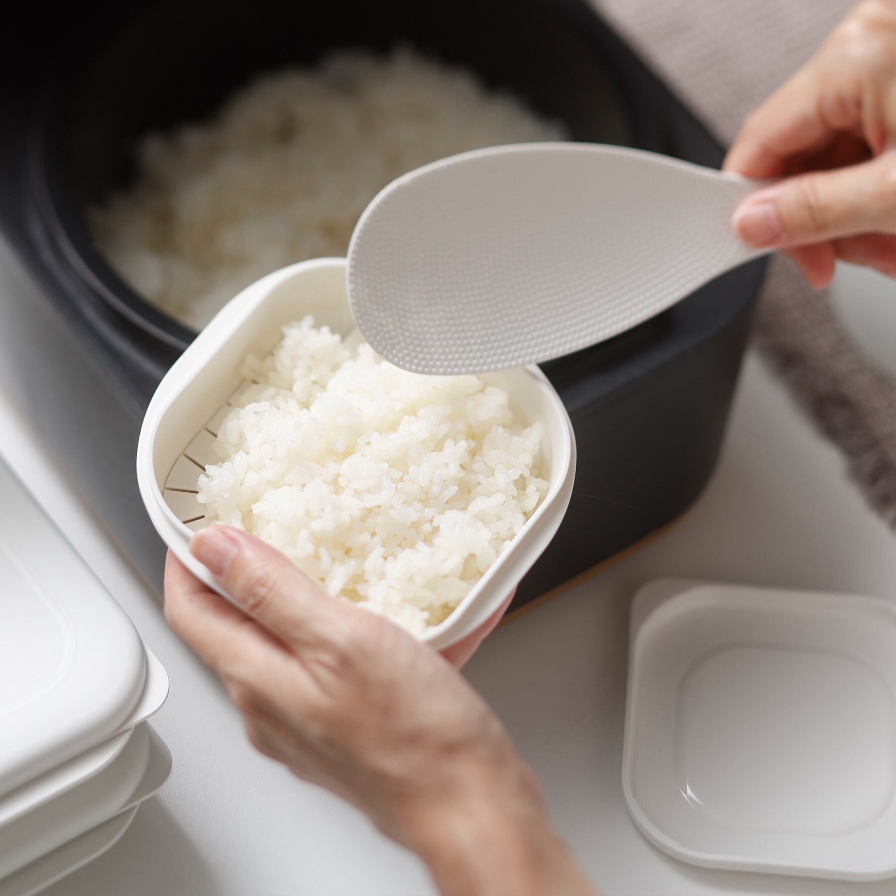 212 KITCHEN STORE「極 冷凍ごはん容器 WH <marna マーナ>」|食器・キッチングッズ|