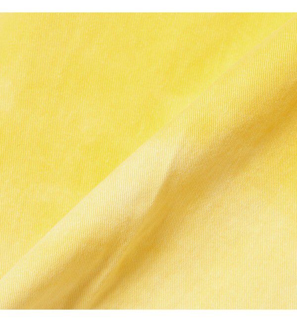 BEAMS PLUS「IVY Trousers Wide Twill Gradation Print」|チノ|