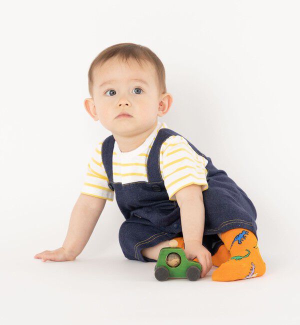 SHIPS KIDS「SHIPS KIDS:ベビー ダイナソー ソックス」|ソックス|
