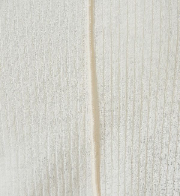 abahouse mavie「【ヘルシーな透け感】シアーフライスロンT」|Tシャツ・カットソー|