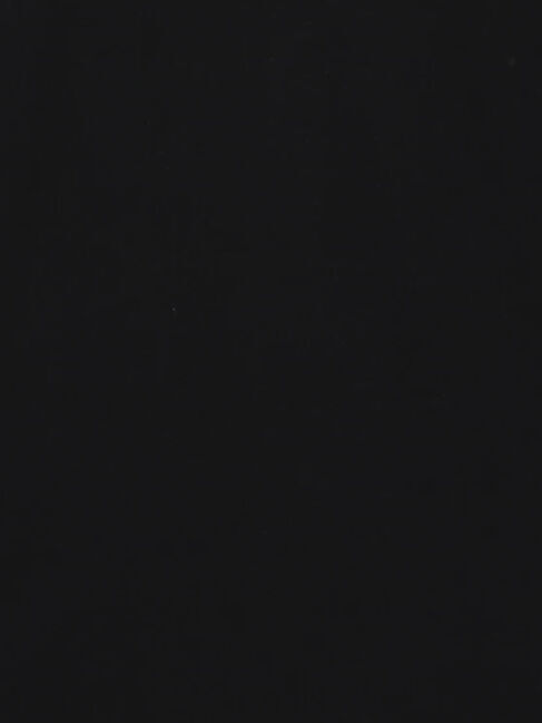 Te chichi「マリリンモンロービーチフォトTシャツ」|Tシャツ・カットソー|