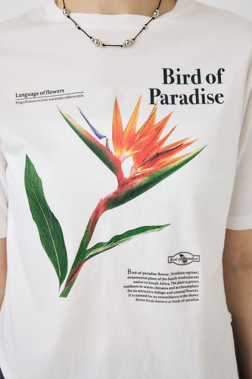 MOUSSY「ASYMMETRY フラワー TEE」|Tシャツ・カットソー|