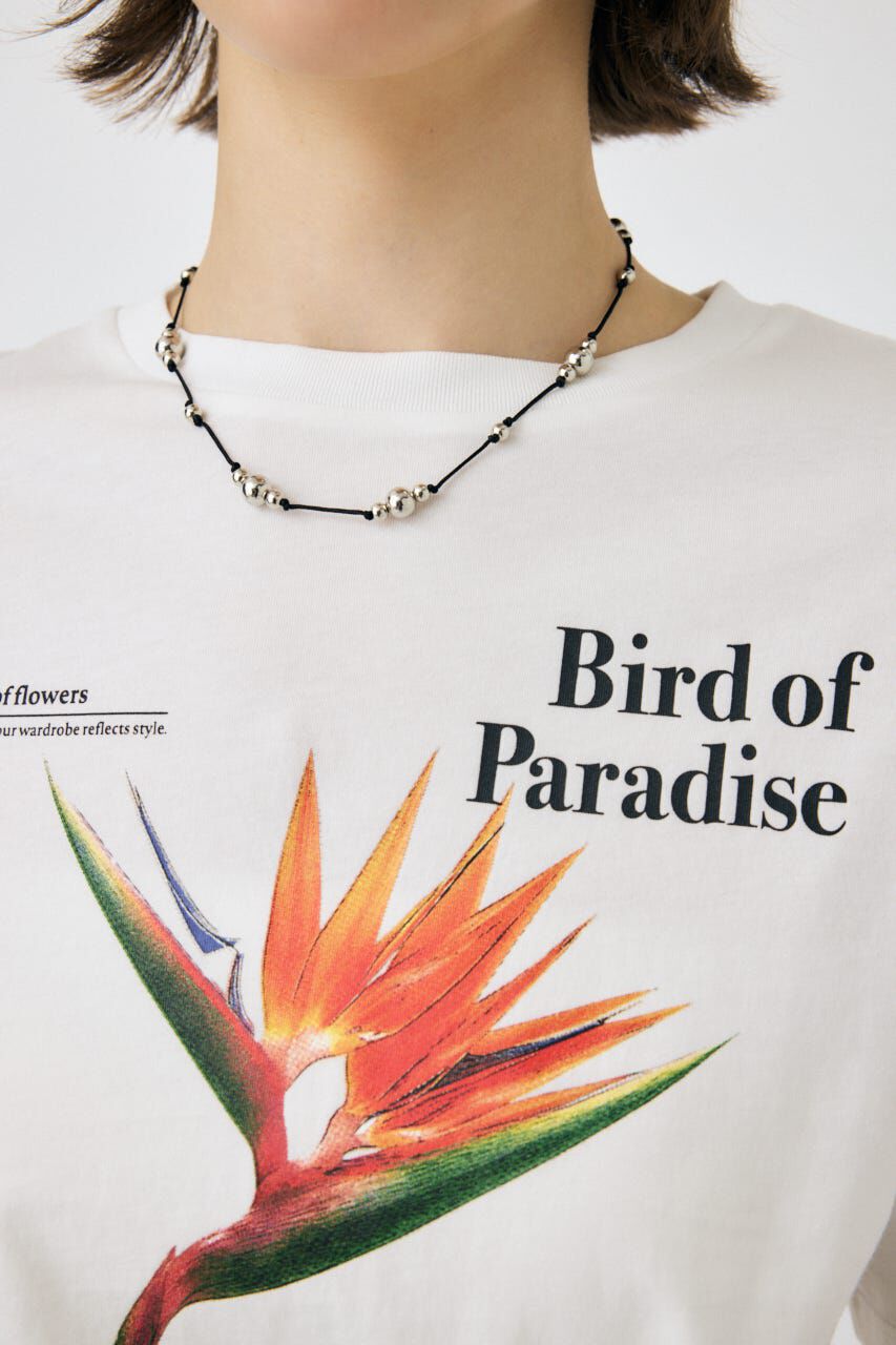 MOUSSY「ASYMMETRY フラワー TEE」|Tシャツ・カットソー|