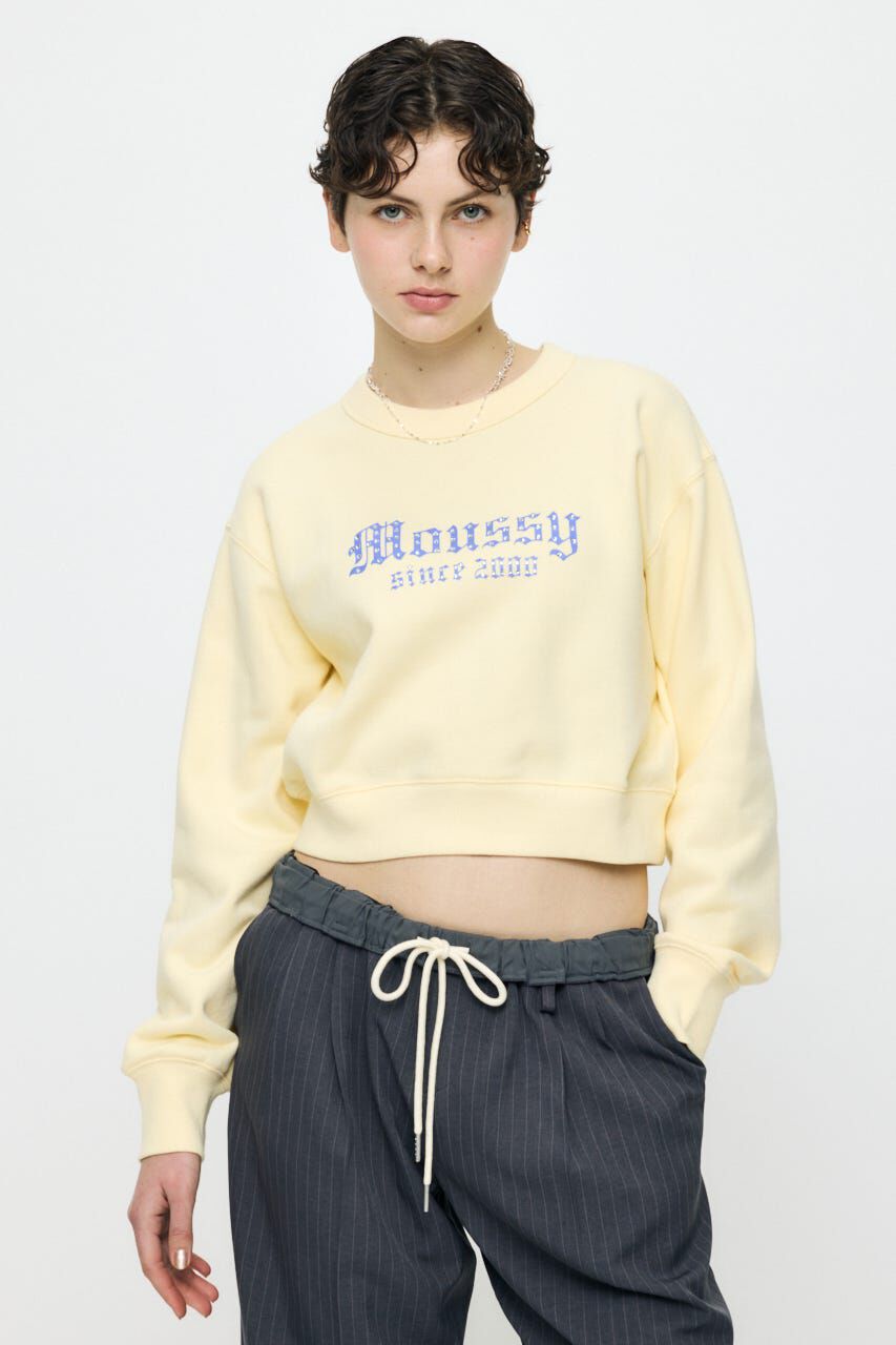 MOUSSY「MOUSSY CLASSIC STONE プルオーバー」|パーカー|L/YEL1