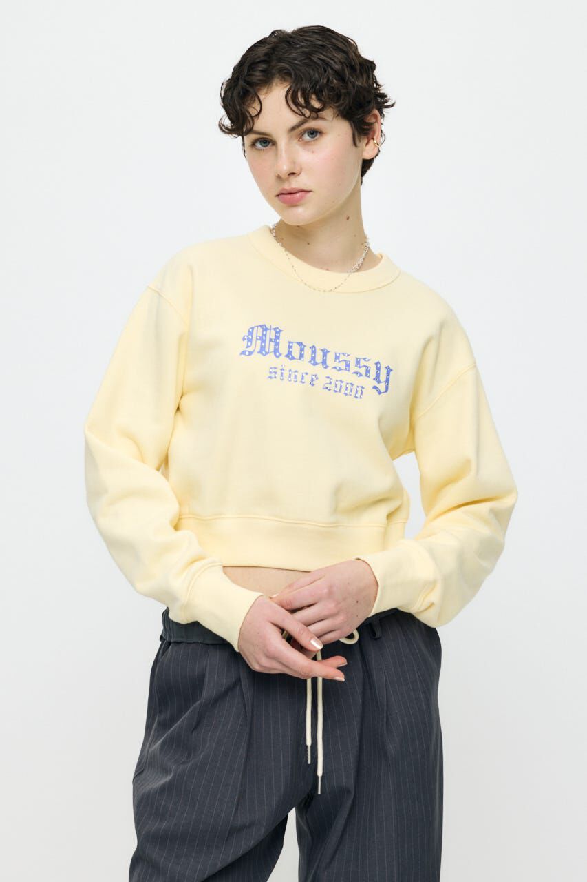 MOUSSY「MOUSSY CLASSIC STONE プルオーバー」|パーカー|