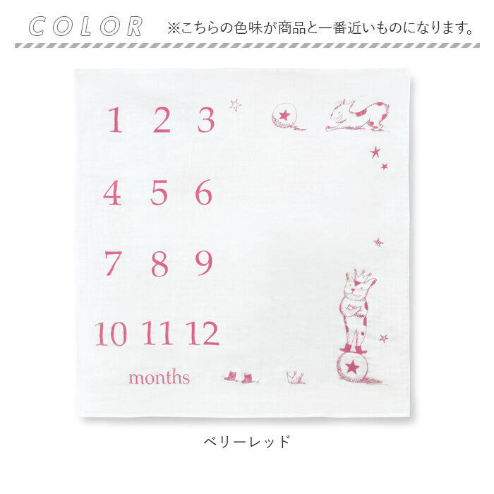 BACKYARD FAMILY「寝相アート おくるみ ガーゼケット ベビー 通販 シーツ 撮影シート 3重ガーゼケット 月齢フォト」|その他ベビーウェア|