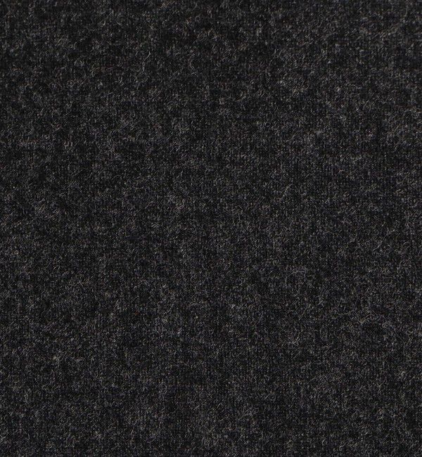 Edition「ウールメルトンポプリン Iラインスカート」|スカート|