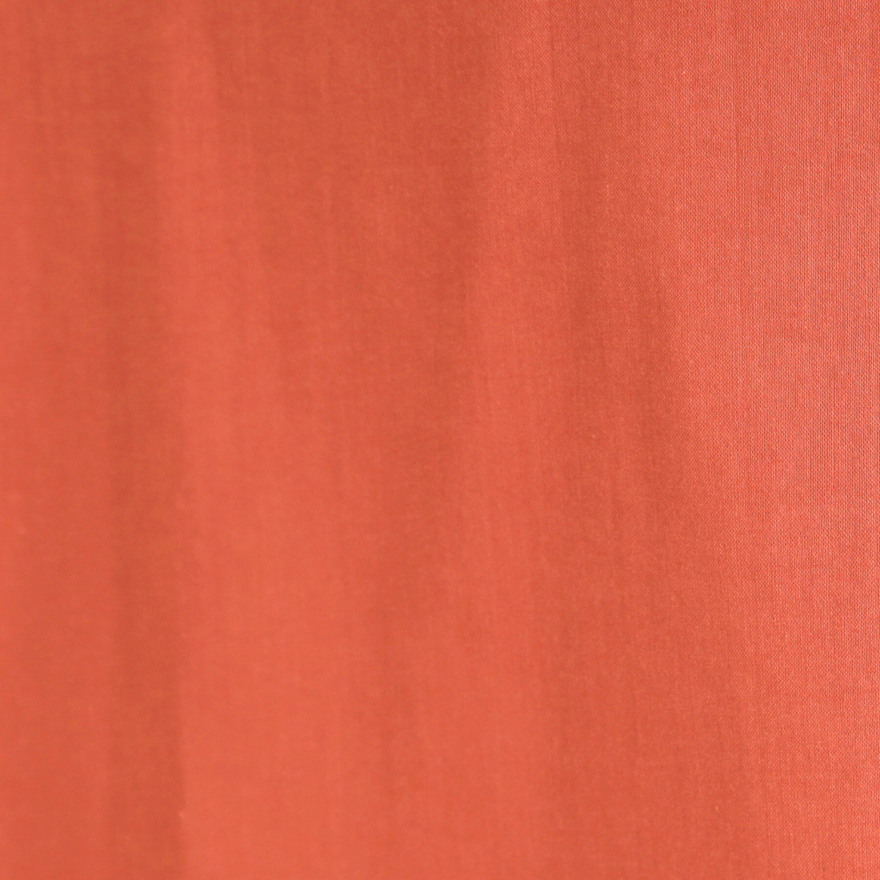 SHOO･LA･RUE「【S-LL/ひんやり】後ろ姿も抜かりなく インせず着られる バックギャザーシャツ」|シャツ・ブラウス|