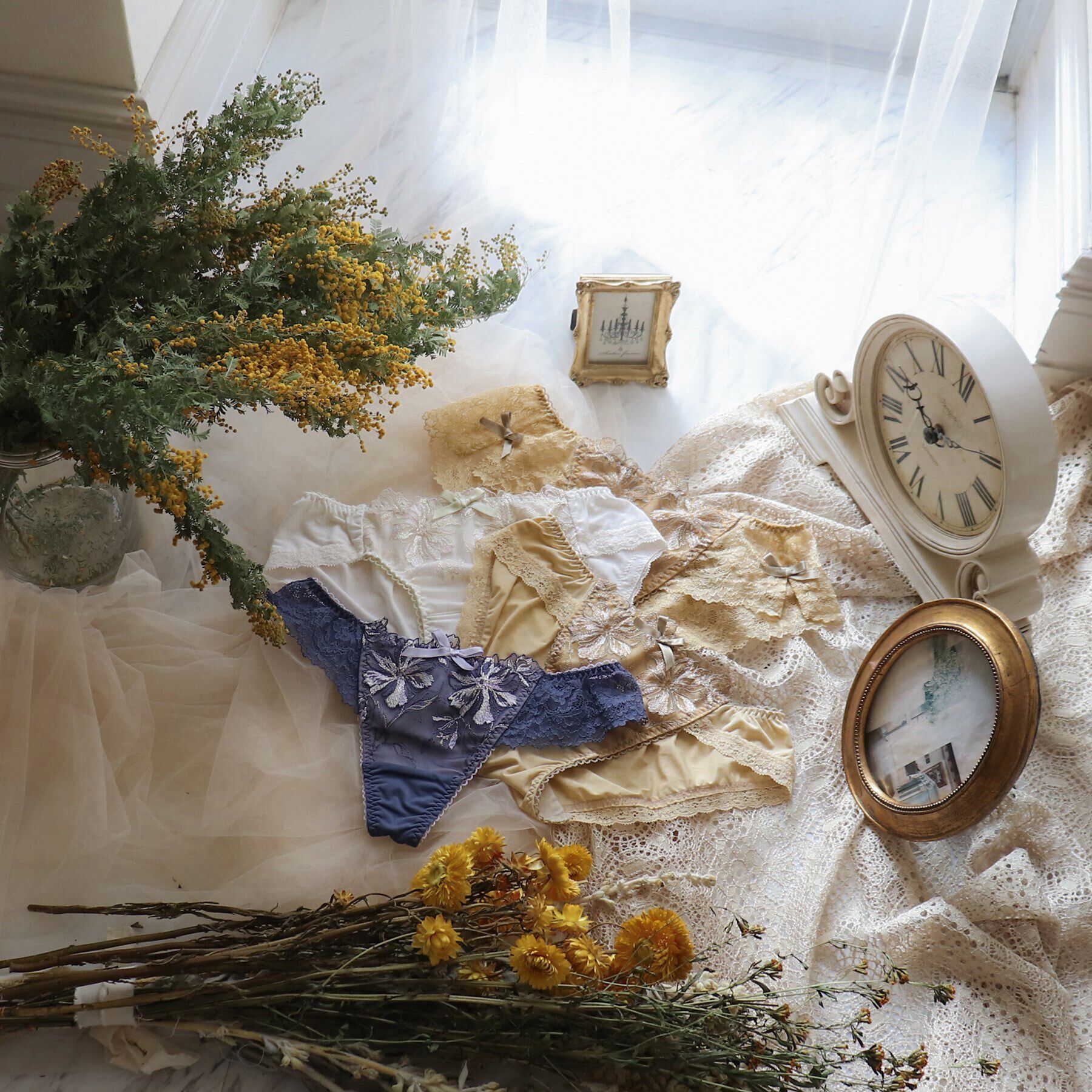 Risa Magli「シャンタル レースショーツ」|インナー|