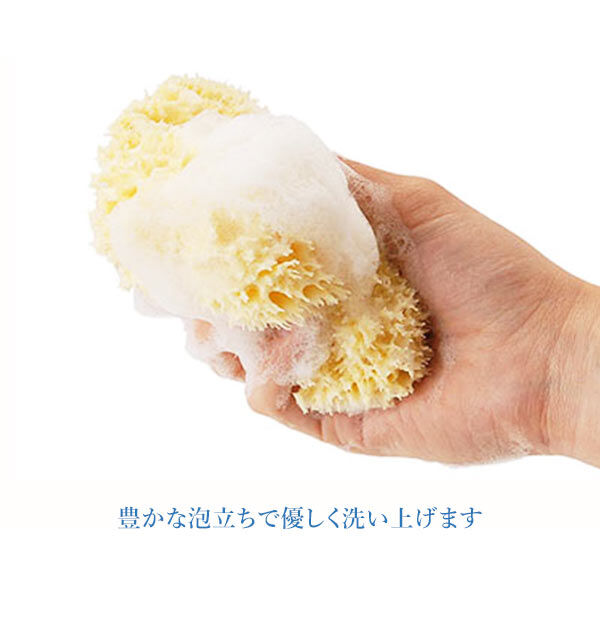 BACKYARD FAMILY「ボディスポンジ Bellini ベリーニ 通販 天然海綿スポンジ 天然海綿 ハニコム種 SA16」|入浴剤・バスグッズ|