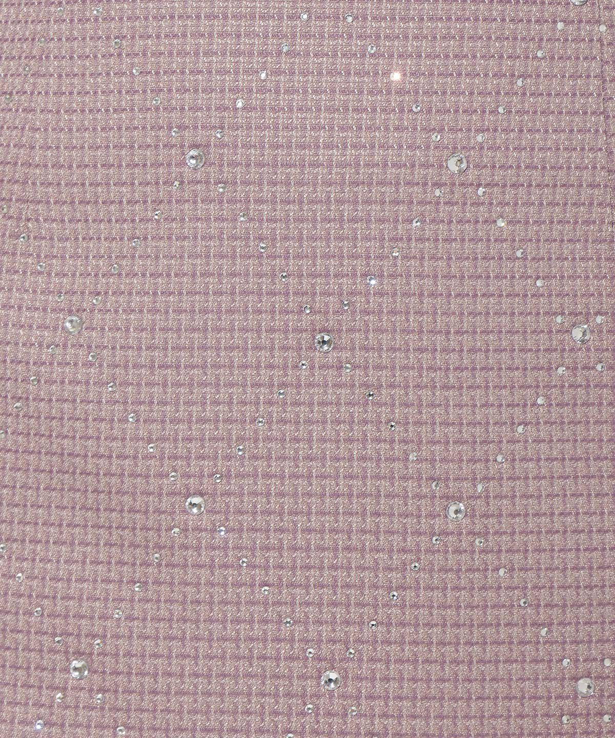 WILLSELECTION「ラインストーンミニスカート」|台形|