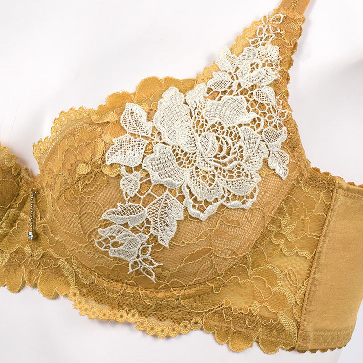 intesucre「アンテシュクレ 脇高ブラ Premium ブラセット B-D/65-80 IBT326」|インナー|